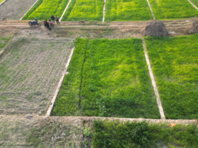 सुनसरी–४ का मतदाताको आवाजः कृषि, पूर्वाधार र रोजगारी नै प्रमुख एजेन्डा