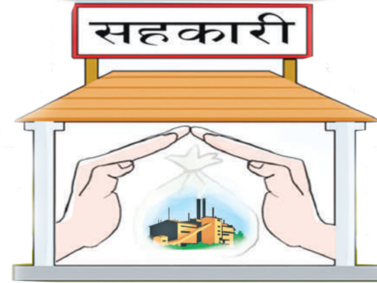 श्री संकटा बचत सहकारीमा ३७ करोड रुपैयाँ ठगी, २८२ बचतकर्ताको उजुरी अदालतमा