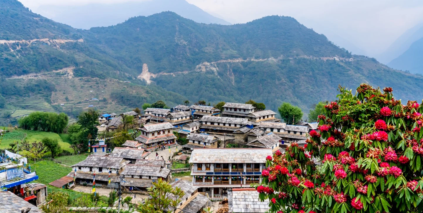 संकटबीच चुनाव सम्पन्न गराएकी सुशीला कार्की: अन्तरिम नेतृत्वले लोकतन्त्रलाई ‘ट्रयाक’मा फर्कायो